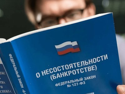 По результатам изучения материалов судебной практики по спорам о несостоятельности (банкротстве) за 2024 год Президиум Верховного Суда РФ сформулировал 25 правовых позиций.